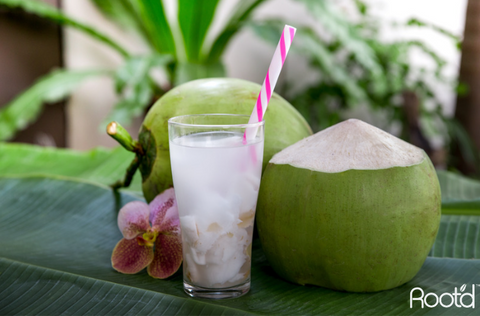 Coconut and watermelon juices are rich in electrolytes