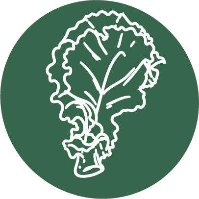 Root'd Best Sources of Folate in Kale Icon