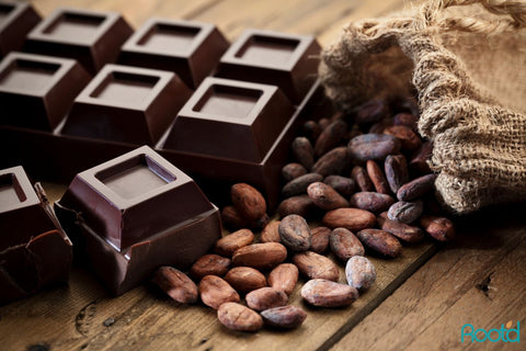 Dark chocolates are rich in magnesium