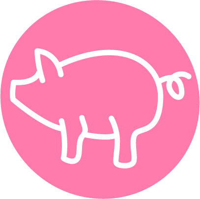 Root'd Best Sources of Vitamin B1 Pork