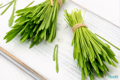 barley grass is gluten-free