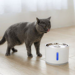 La Catlumix Fontaine Deau Lumineuse Pour Chat 24l