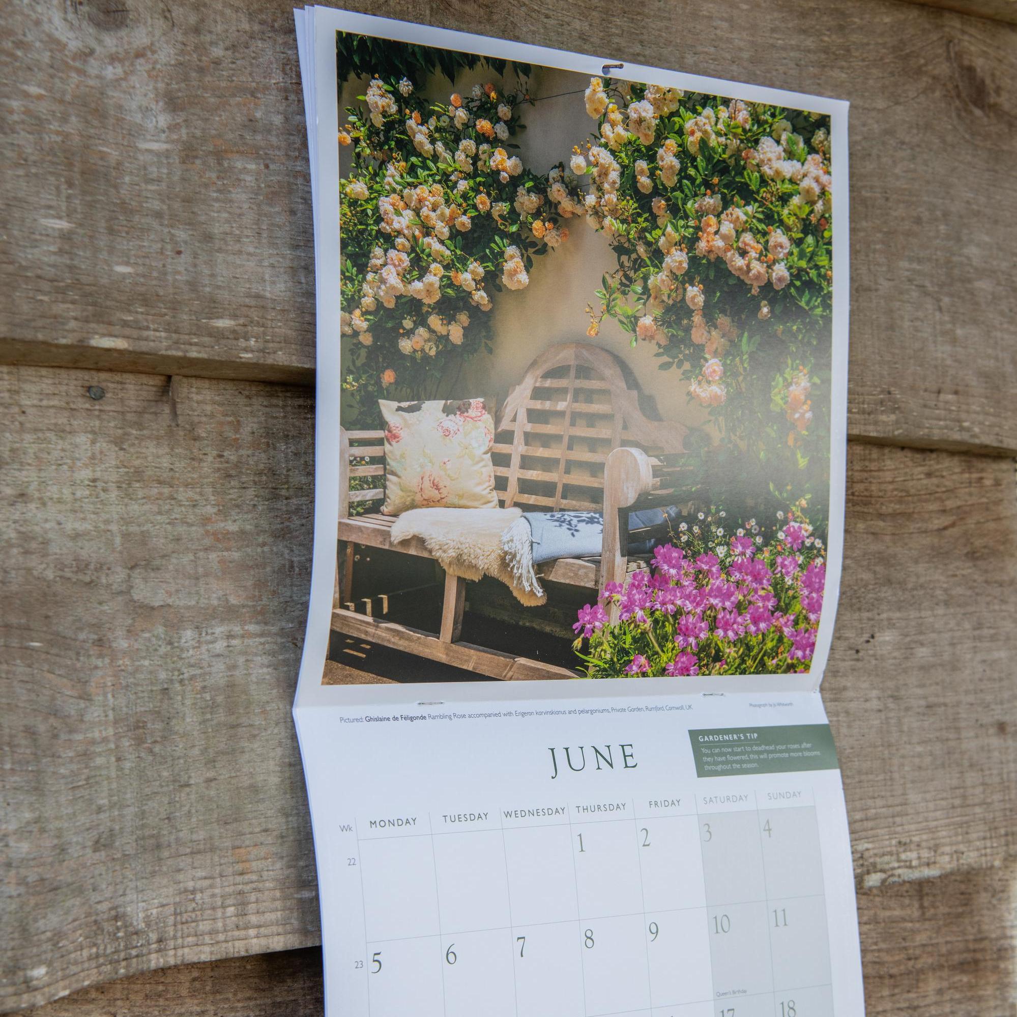 David Austin 2023 Wall Calendar Calendar Gifts