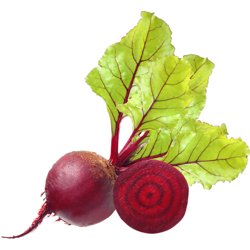 beet root, Dpph, organic, extracts