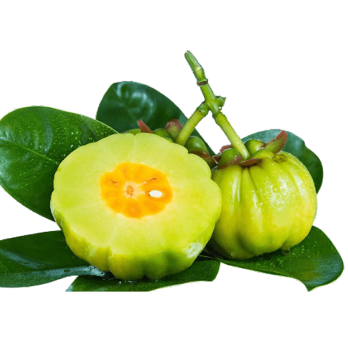 garcinia , Garcinia Cambogia , Cambogia