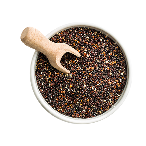 Piper Nigrum, black pepper