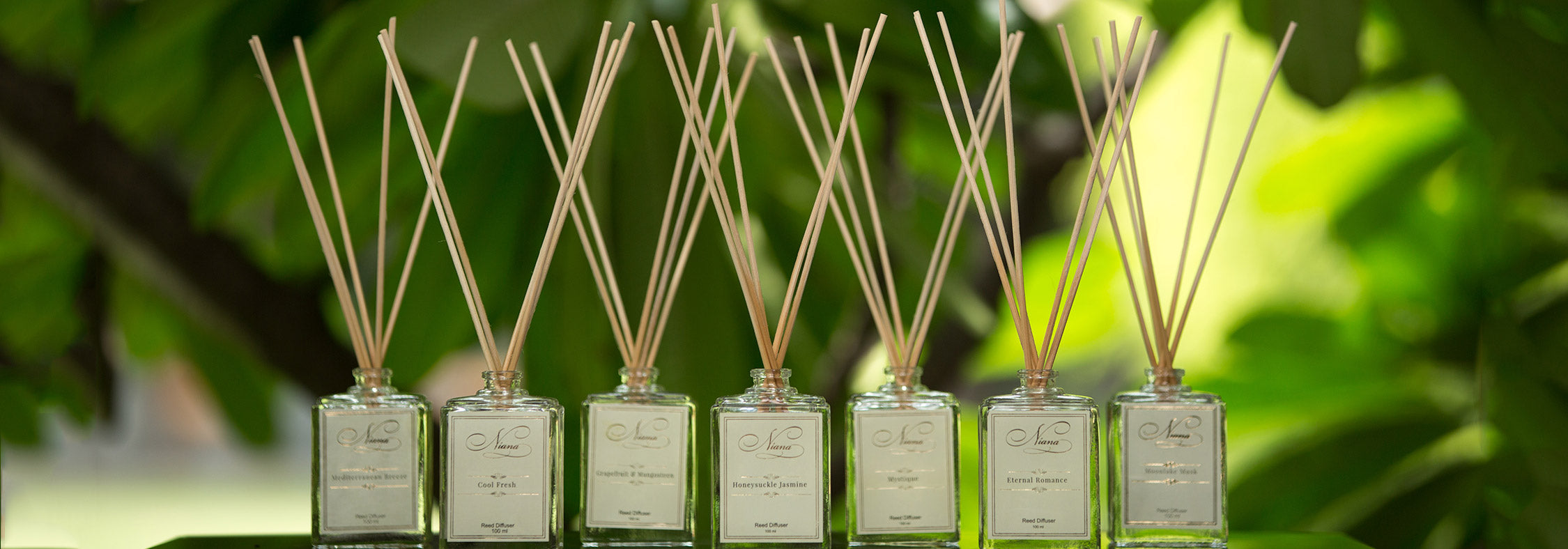 reed diffuser online