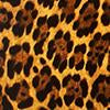 Mira Reversible Bandeau Bikini Top in Leopard Print