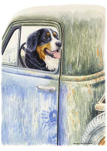 Bernese Mountain Dog Diamond Painting – We Have A Handle On This