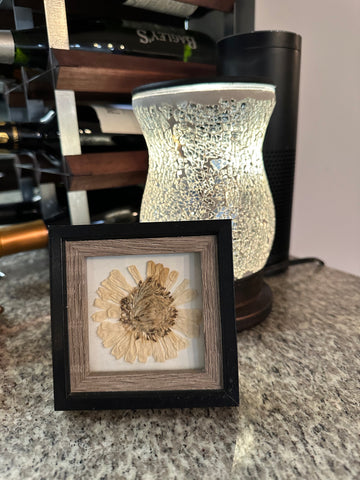 A pressed white flower inside a small black frame in front of a lamp in a home.