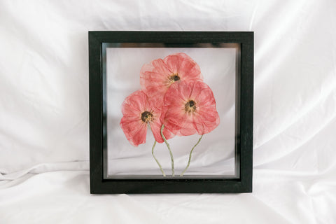 August birth flower, Poppies.