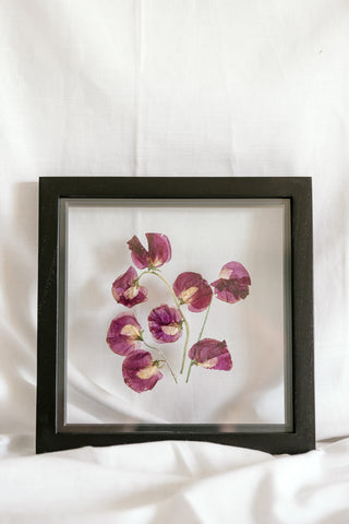 Birth flower frame with sweet peas