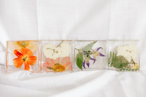 Pressed Flower Resin Coasters (Set of 4)