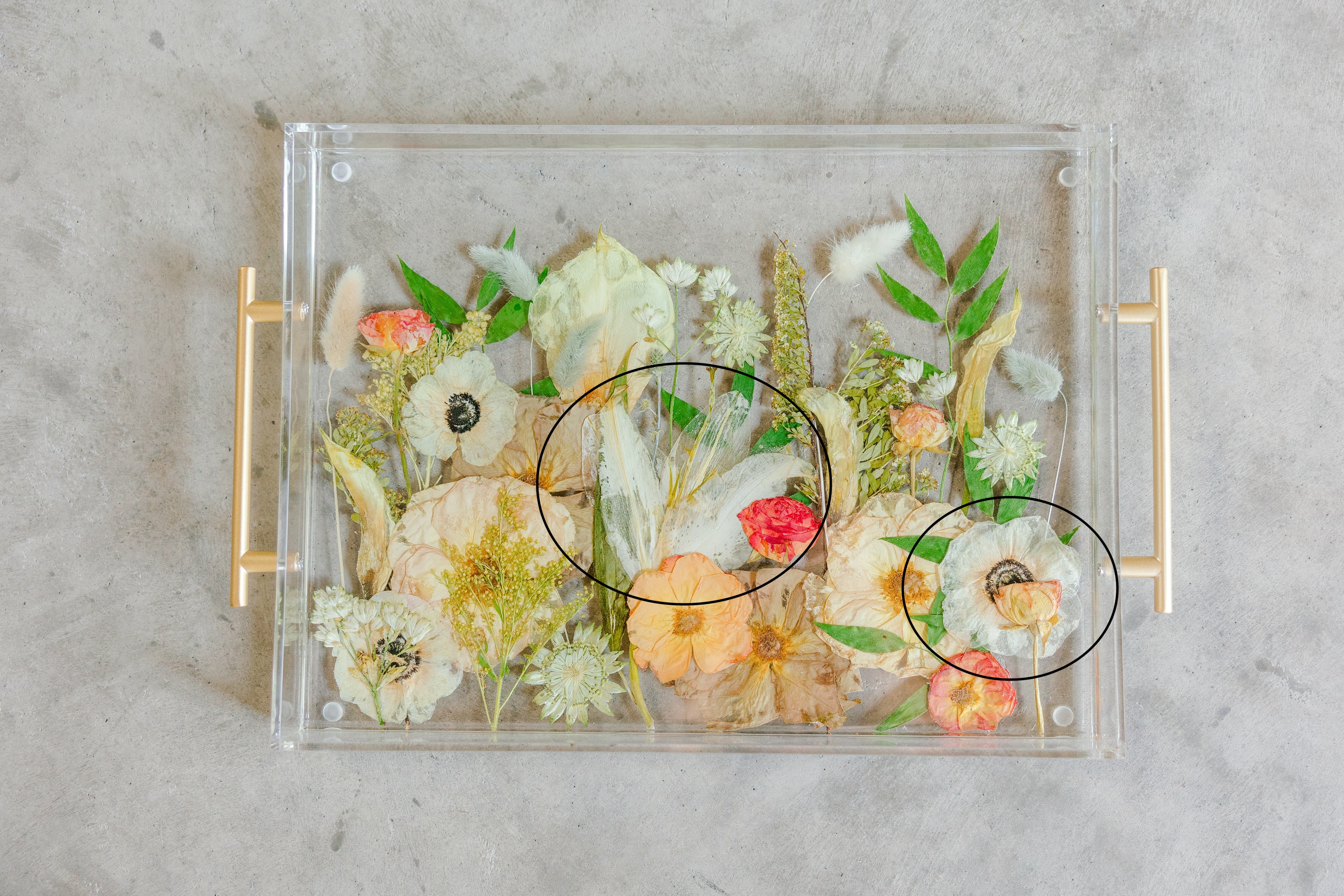 A pressed flower resin serving tray with circles around some petal transparency against a cement backdrop.