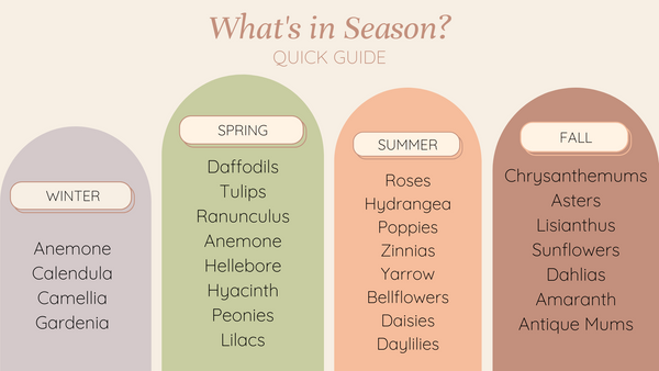 Pressed Bouquet Shop quick guide for showing when flowers are in bloom by season.