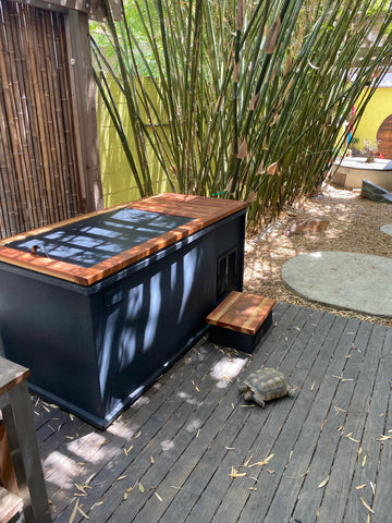 RENU Therapy Cold Stoic Standard cold plunge tank located in a customer’s home and backyard