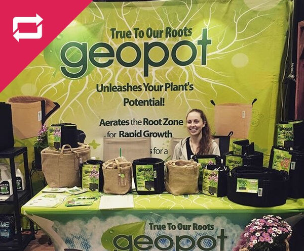 geopot plant vendor table display