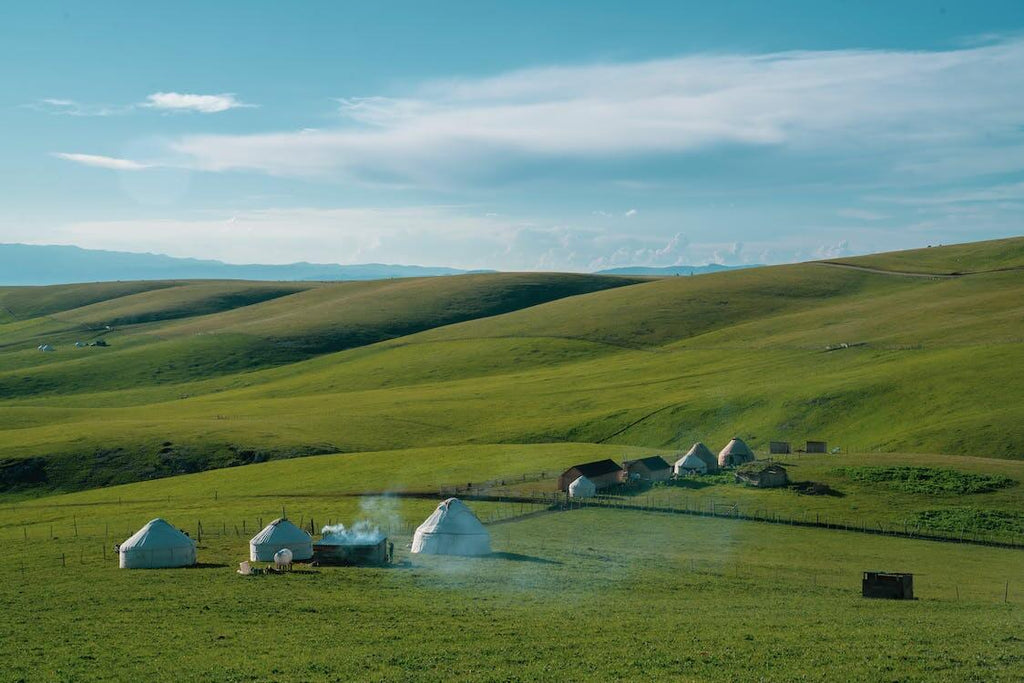 yurts in the plains of mongolia