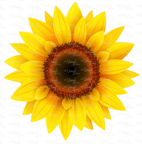 Free Free 52 Realistic Waterslide Sunflower Svg SVG PNG EPS DXF File
