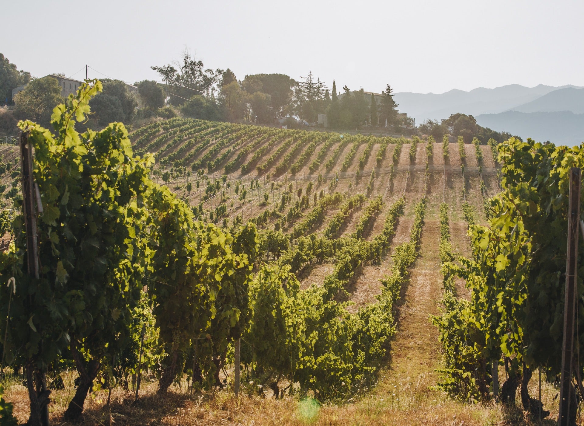 Domaine de Vaccelli