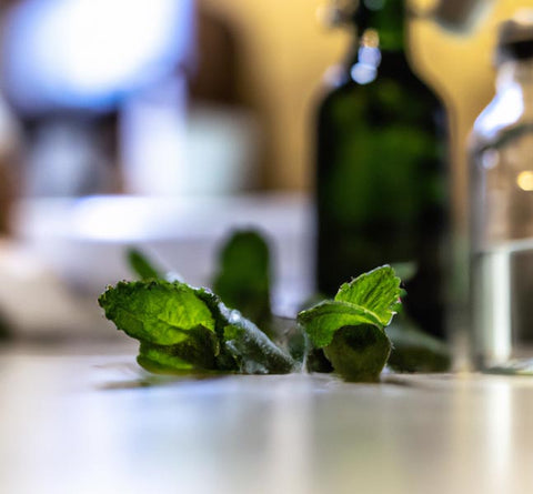 flavor extracts mint with bottles in background - Culinary Solvent