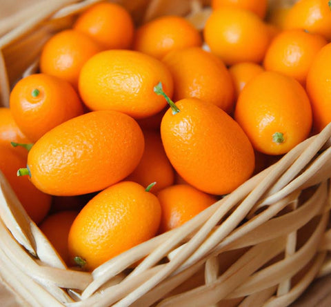 kumquats in a basket - Culinary Solvent