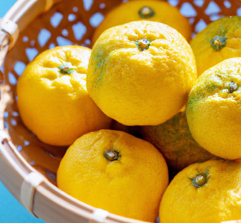 yuzu citrus in basket for extraction - Culinary Solvent