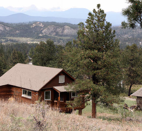 extracts chefs off grid cabin in mountains - Culinary Solvent