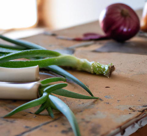 herbalists apothecary aloe onions workbench - Culinary Solvent