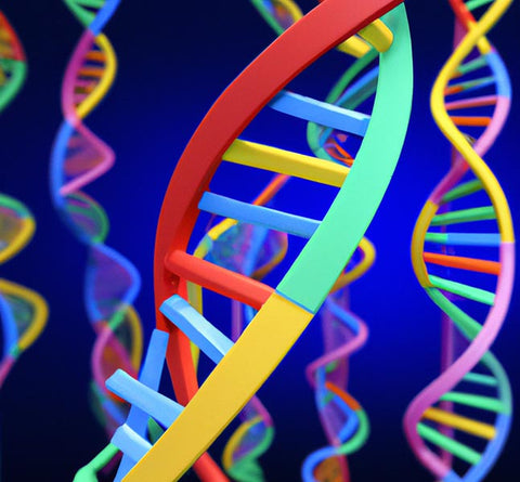 researchers scientists multiple dna helix on blue background - Culinary Solvent