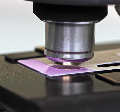 researchers scientists microscope looking at tissue sample - Culinary Solvent