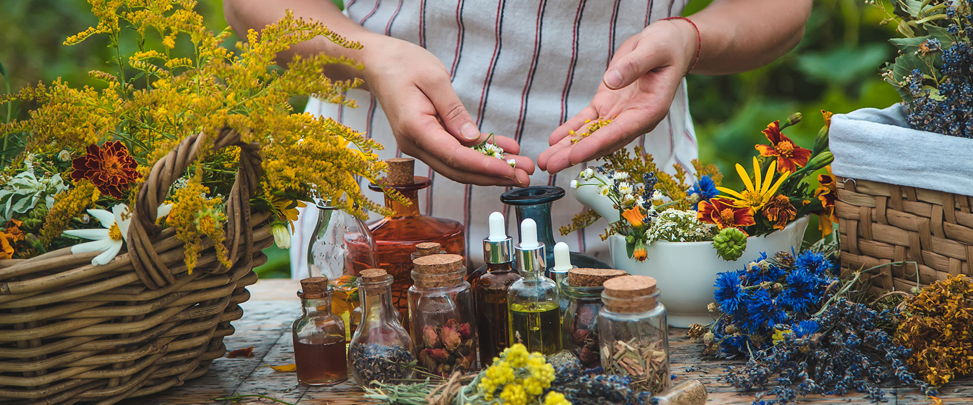 herbalists hands making herbal tinctures from dry flowers, botanicals, herbs