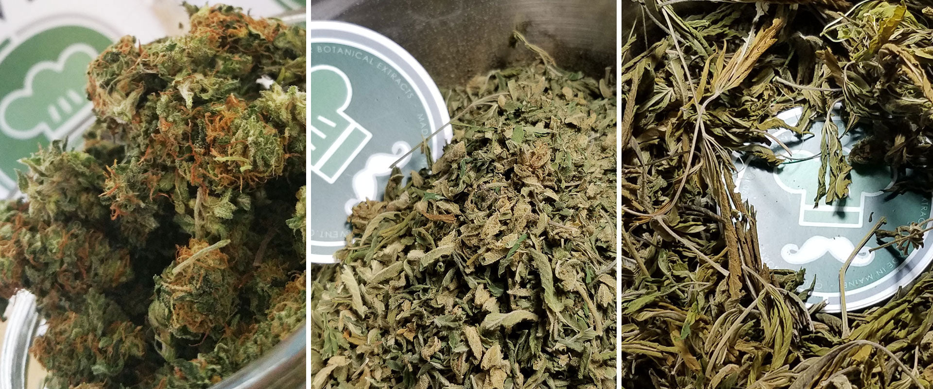 cannabis bud, trim, or shake can be used for alcohol quick wash tinctures