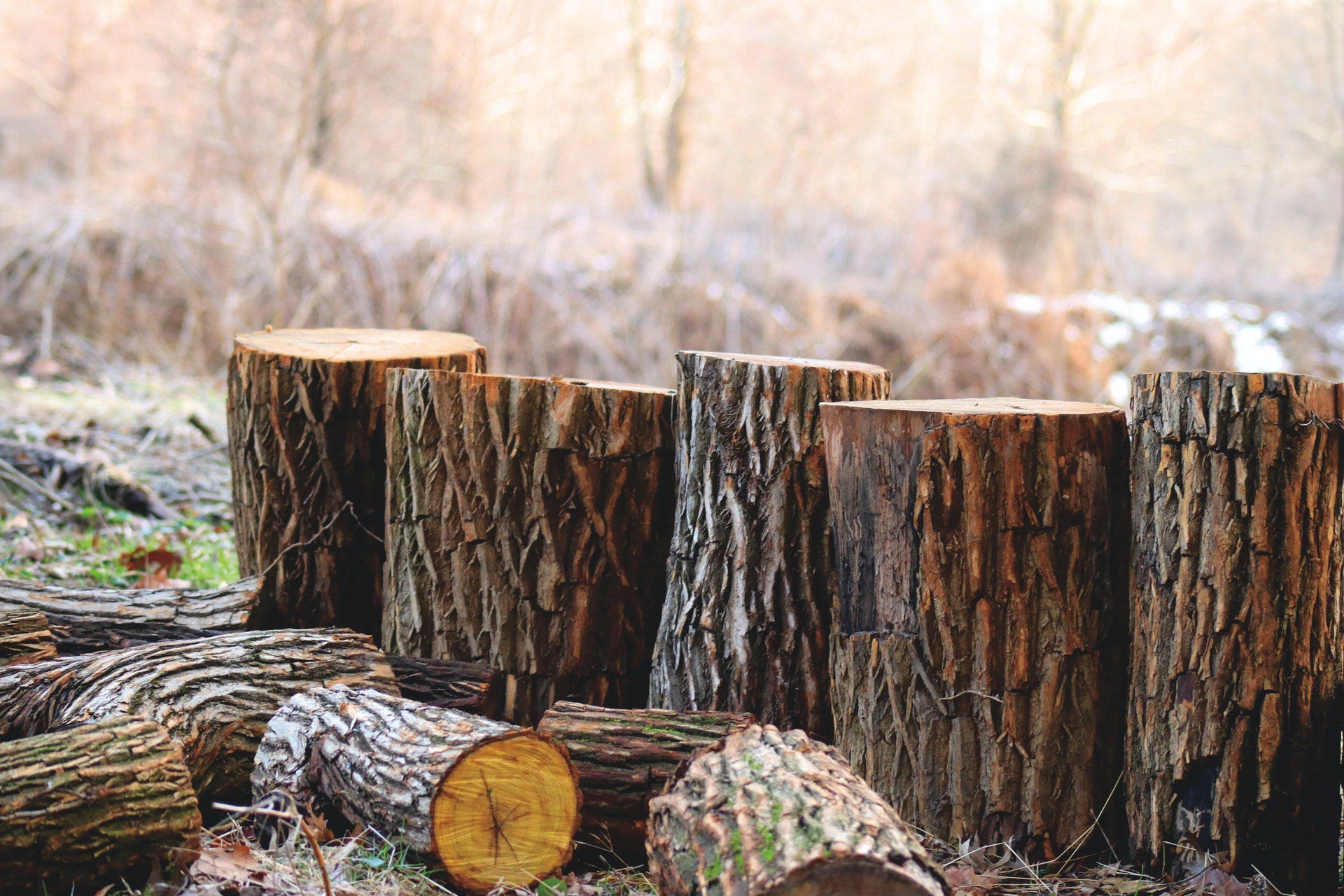 Logs for making hand crafted kitchen tools