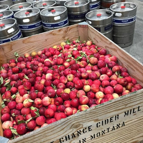 apple harvest case last chance cider mill drinks