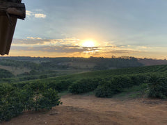 Brazil Natural Processed Coffee