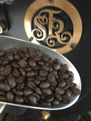 guatemala coffee beans
