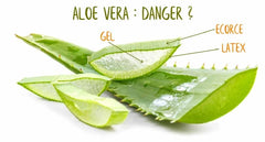 Quelle matière extraire de l’Aloe Vera 