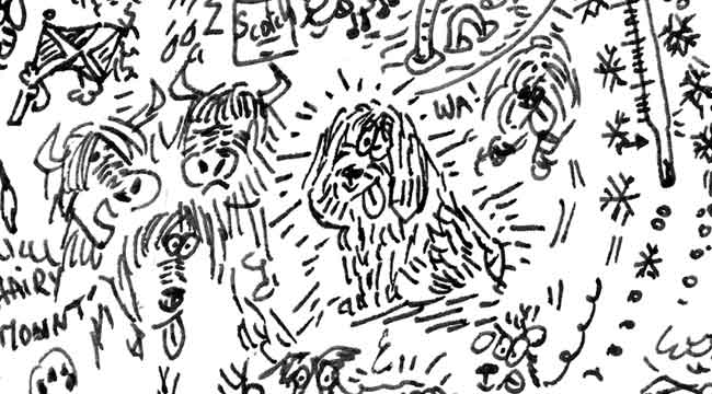 bearded collie dog dessin