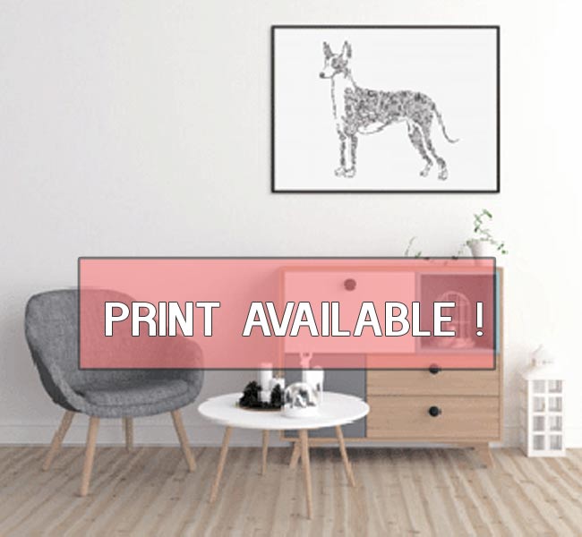 podenco ibiza print drawing hound