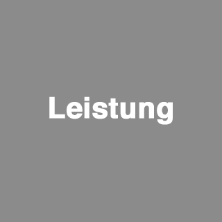 Leistung