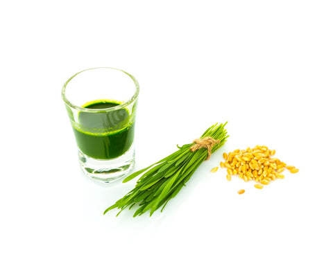 Barley grass powder - Sourced from nature's bounty for optimal health benefits