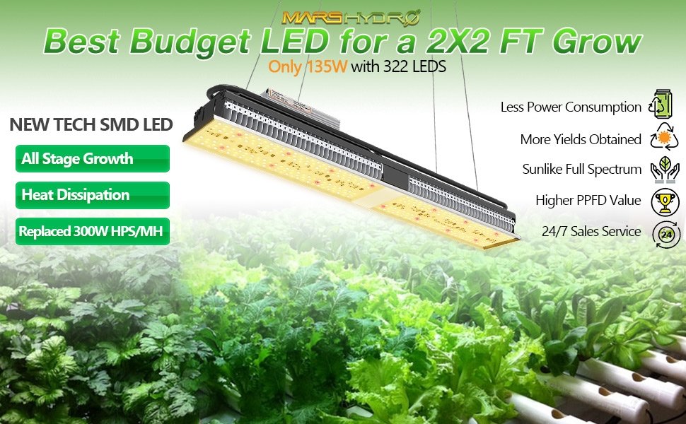 Best budget LED for a 2X2 FT grow