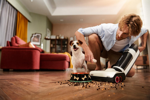 Aspirateur pour poils d'animaux : quels sont les meilleurs modèles