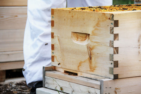 Beekeeping Equpiment You Need List