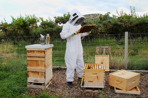 Beekeeping Equipment List