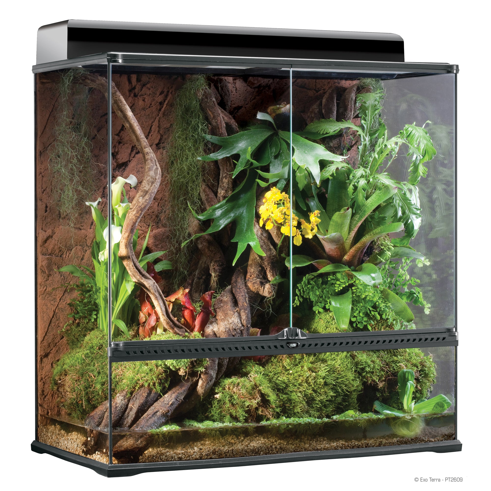 EXO TERRA Glass Terrarium - In Store Pickup Only – Scales and Tails Ohio