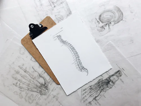drawings of spine, hand, foot and skull with clipboard