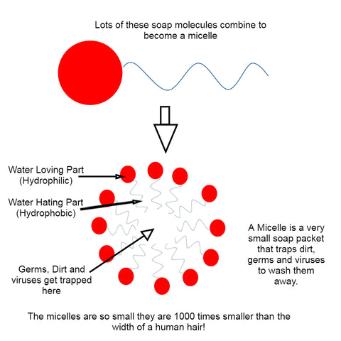 SoapOman - What is a soap Micelle?