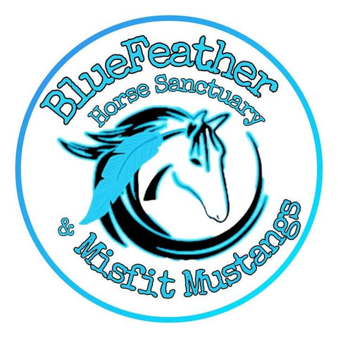 Meet BlueFeather Horse Sanctuary & Misfit Mustangs